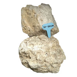 Granulés de pierre de lave blanche, mélange de terre horticole léger pour les plantes succulentes, cactus, haute rétention d'eau, ornements de jardin - Product Image 5