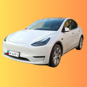 Modello Y auto sportiva per adulti veicoli auto elettrica per Tesla