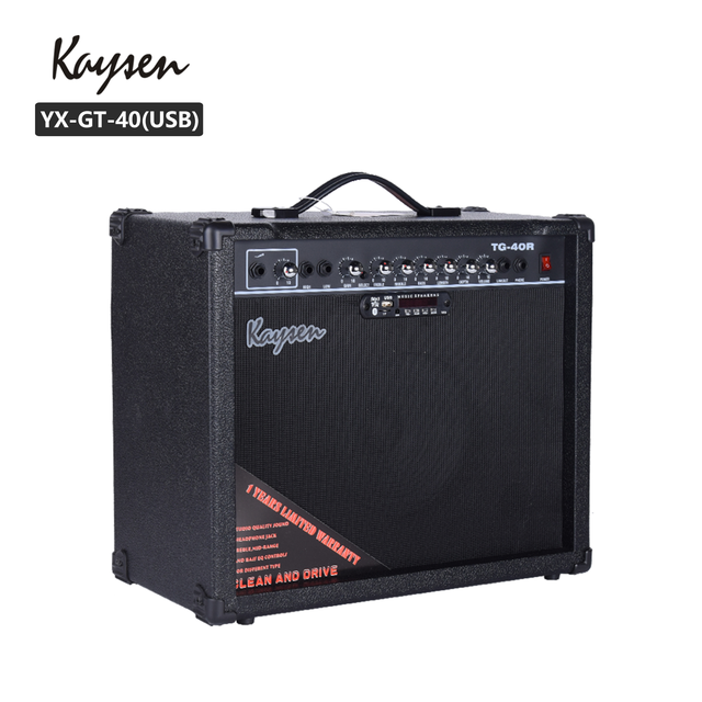 Kaysen 40watts USB Guitar Amplifiers Customize Guitar Speaker Wholesale Made in China