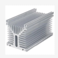 Dissipateur de chaleur par extrusion d'aluminium d'usinage CNC personnalisé 6063 T5 Radiateur de dissipateur de chaleur en aluminium extrudé anodisé noir