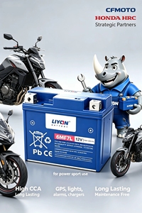 Batterie de moto sans entretien 6MF14, fournisseur d'usine LIYON pour <span class=keywords><strong>BMW</strong></span> Honda Yamaha CFMOTO Lifan - Product Image 5