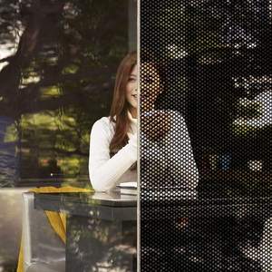 <strong>Perforated</strong> <strong>Vinyl</strong> See Sticker UV Printing Heat Rejection Building <strong>Window</strong> Film Mesh One Way Vision Weather Resistant Eco-Friendly - Product Image 2