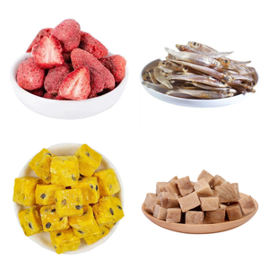 Lyophilisateur de qualité supérieure, machine de lyophilisation sous vide à haute stabilité pour l'utilisation dans les usines alimentaires commerciales - Product Image 4