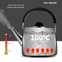 Casserole à induction pour la maison et l'extérieur, chauffe-eau, bouilloire à sifflet, théières, bouilloire à eau chaude, bouilloire en acier inoxydable