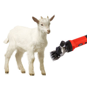 110V 220V 350W vitesse réglable électrique mouton tondeuse à cheveux toilettage ciseaux chèvre laine cisaillement Machine de découpe - Product Image 5