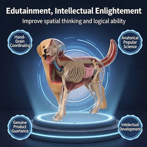 Kit scientifique interactif STEM, modèle anatomique d'animaux 3D, cadeaux d'anniversaire pour enfants et coffret de compétences scientifiques et d'ingénierie - Product Image 4