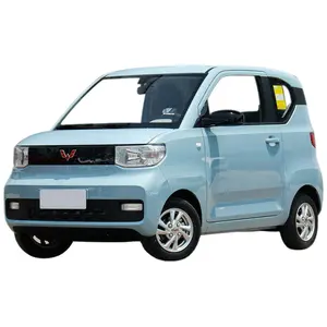 Adult All Electric Vehicles Mini Lithium Ion Battery High Speed Car For Sale