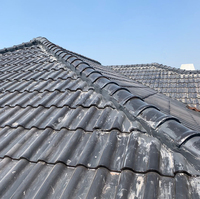 Surface émaillée Clay_roof_tile Tuile à emboîtement Gris