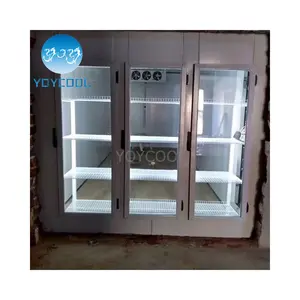 cold room refrigeration unit display cold room glass door display cold room