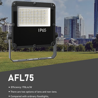 Reflector LED para Exteriores de 200W DMX513 RGB COB IP65 de Alta Luminosidad para Estadios Deportivos