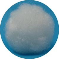 100D Nylon 6 Nylon 66 Fiber 100% Polyamide OEKO-TEX Qualité Standard En Gros Flocage Laine Spinning