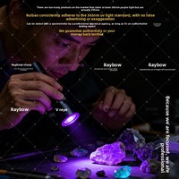 Lampe torche UV rechargeable haute puissance en alliage d'aluminium Ruibao à lumière violette pour la détection de jade, pierres précieuses, tabac, alcool et la détection de la teigne féline