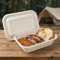 Suikerrietbagasse bento box met deksel, wegwerpbaar, biologisch afbreekbaar, composteerbaar, rechthoekige voedselcontainer voor afhaalrestaurants