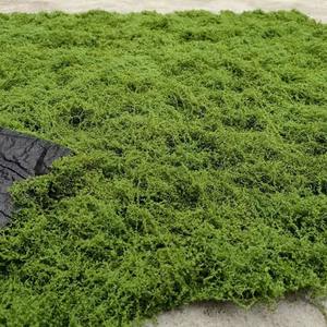 Arrangement de fleurs de simulation de mousse verte artificielle pour Noël Pâques Nouvel An Célébration <span class=keywords><strong>Faux</strong></span> Matériel Affichage de fleurs - Product Image 3