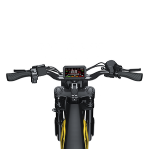 Nouvelle moto électrique tout-terrain Saige Kene Brand KN110 Pro Peak Power 3000W Vitesse maximale 62 km/h 39 mph pour le marché américain - Product Image 6