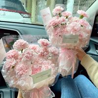 Buket Bunga Anyelir Awet Gaya Kartun Kecil Bunga Buatan Sabun Beraroma Hadiah Hari Ibu Ulang Tahun