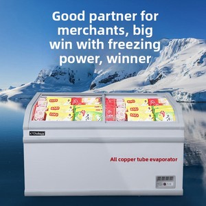 Congelador vertical Dax 500Y con pantalla curva y control de temperatura de -18°C para congelar helados, China - Product Image 2