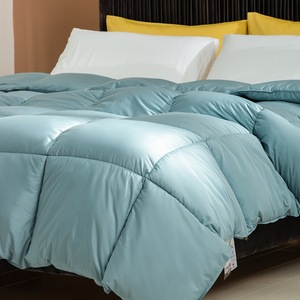 Piumino in <span class=keywords><strong>Velluto</strong></span> con Inserto in Piuma, Misura <span class=keywords><strong>Matrimoniale</strong></span>, <span class=keywords><strong>Trapunta</strong></span> Spessa per Primavera e Autunno, per Hotel e Uso Domestico - Product Image 3