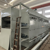 Séchoir à raisins en acier inoxydable 1 tonne/h avec séchoir à raisins à bande continue pour déshydrateur de fruits industriel