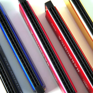 Vente en gros/OEM/<span class=keywords><strong>Prix</strong></span> d'usine Fabricant Vente en gros <span class=keywords><strong>Harmonica</strong></span> à double rangée à clé C diatonique à 24 trous Design à 6 couleurs pour les étudiants d'âge préscolaire - Product Image 4