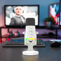 Kit de microphone de bureau USB RGB pour la musique de podcasting Connexion sans fil Fonction muette Play Plug Computer Mic pour l'enregistrement de chant