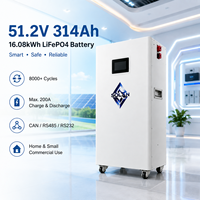 Batería LiFePO4 de 16 kWh para Almacenamiento de Energía Solar en Villas y Soluciones de Energía de Respaldo