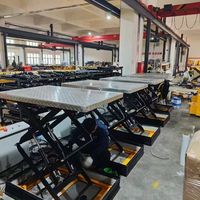 Table élévatrice à ciseaux électrique personnalisée WEMALiFT Pallet Pioneer, plateforme élévatrice pour handicapés en acier Q235
