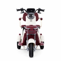 Tricycle électrique à 3 roues, scooter de mobilité avec siège enfant pliable et boîte de rangement, absorption des chocs, meilleur auto-rickshaw électrique