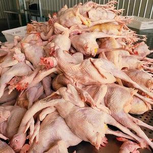 50 mô hình gà vịt Máy tẩy lông plucker deplumeuse loại bỏ lông gia cầm tuốt loại bỏ thương mại tự động - Product Image 2