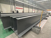Diseño Moderno de Gallinero Abierto con Estructura de Acero Ligero de Calibre Adecuado para 10000 Pollos
