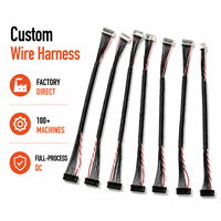 Câble de signal torsadé 32-34AWG à micro-pitch de 0,6 mm avec connecteur IDC pour capteur de caméra, personnalisable OEM
