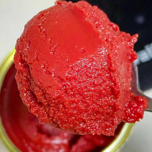 Pâte de tomate aseptique <span class=keywords><strong>Tetra</strong></span> Brik de haute qualité Sac de sauce tomate de marque OEM Boîte en vrac Bouteille Options d'emballage disponibles - Product Image 3