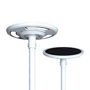 Panel Solar Policristalino de Alta Eficiencia NGW-30 de 20W con Fuente de Luz LED, Clasificación IP65, Garantía de 5 Años - Product Image 1