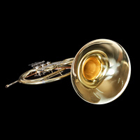 Trompa Francesa Profesional de Latón de 3 Válvulas, Instrumento Musical, Venta al por Mayor de Fábrica, Personalizada, Barata