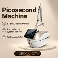 Machine PicoSecond Portable à Succès Commercial 532nm 785nm 1064nm Équipement Réfrigération Air+Eau+Semiconducteur avec CE OEM
