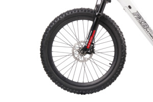 FXB 24 pouces 1200W 1500W hors route sans pédale vélo tout-terrain électrique pour enfants - Product Image 4