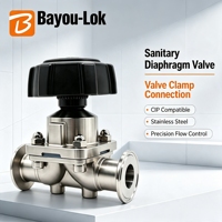 Vanne à diaphragme sanitaire à fixation par collier, compatible CIP, résistante à la corrosion, pour conduites d'eau ultrapure, Bayou-Lok, disponible en OEM