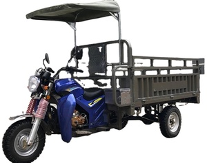 Motocicleta Triciclo de Gasolina Fabricada en China, en Oferta, Otras Motocicletas - Product Image 5