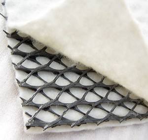 道路建設で使用される4mm 2d Hdpeジオネット - Product Image 4