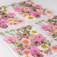 Kit DIY de fleurs séchées Early Riser - Véritables spécimens végétaux respectueux de l'environnement pour la fête des mères, la Saint-Valentin et Noël