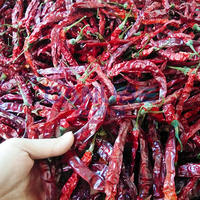 Machine de séchage de piments de haute qualité, déshydrateur de poivrons, équipement de traitement et de séchage des légumes