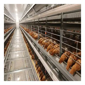 Good Price Automatic Battery Poultry Farming Egg Laying Hens Cage For Sale