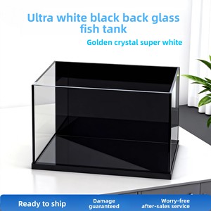 אקווריום זכוכית מלבני שקוף במיוחד בצבע שחור עם גב מוזהב, לגידול דגי זהב, דגי בטא וצמחייה, מתאים לשולחן עבודה בבית. - Product Image 4