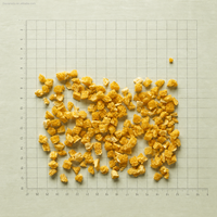 Premium Gedroogde Sinaasappelblokjes Natuurlijke Sinaasappelblokjes Zonder Toegevoegde Suiker Knapperige Fruitstukjes Groothandel voor Thee Bakken Snacks