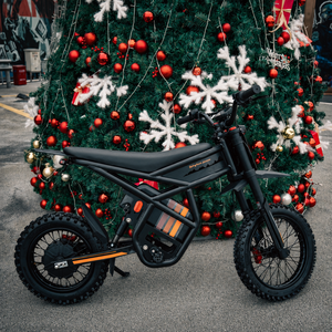 Bicicleta Eléctrica de Montaña Ridingtimes GT 54PRO de Alta Calidad, 250W 60V, Todoterreno, para Adultos y Adolescentes - Product Image 5