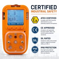 HIREP AccioSafe Détecteur de gaz portable 5 en 1 avec pompe d'aspiration CO H2S O2 Ex PH3 Analyseur ATEX CE SIL IP66 OEM Vente en gros Usine