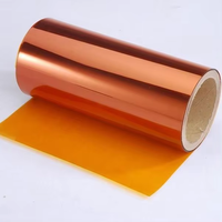 Film Kapton ERIC 6051 Classe H 180°C Isolation 10-1000mm Largeur 0.025-0.25mm Épaisseur Résistant aux hautes températures et aux radiations atomiques