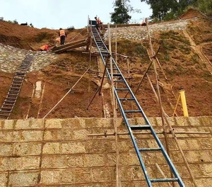 Kedatangan baru 20-300 m Self-Propelled mengangkat untuk pekerjaan mendaki kerataan bahan <span class=keywords><strong>Lift</strong></span> listrik dengan kargo - Product Image 4