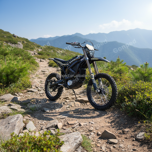 2025 Ebike Surron Ultra Bee Brown Edition Şarj Cihazlı Elektrikli Arazi Motosikleti 21000W Motosiklet - Product Image 2