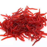 TG 3.5cm 0.25g Leurre de pêche Ring Worm, simulation de ver rouge, appât souple réaliste avec odeur de ver